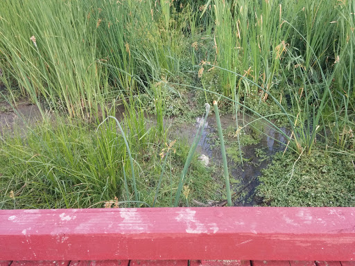 Park «Cherry Creek Valley Ecological Park», reviews and photos, 7500 S Jasper Ct, Centennial, CO 80112, USA