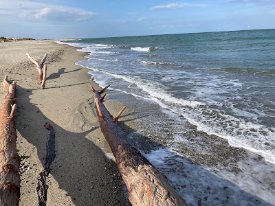 Bocal du Tech à Argelès-sur-Mer