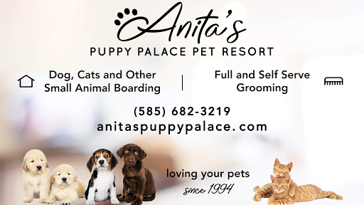 Anita's Puppy Palace Mobile Pet Grooming And Boarding Kennels