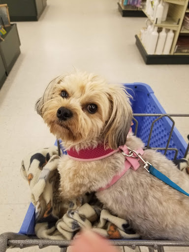 Craft Store «Hobby Lobby», reviews and photos, 3908 Commerce Blvd, Dickson City, PA 18519, USA