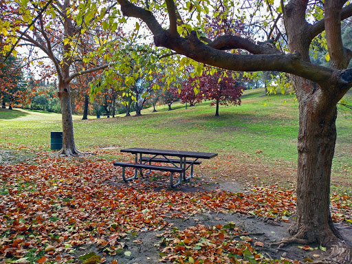 Park «Montview Park», reviews and photos, 4401 Minnesota Ave, Fair Oaks, CA 95628, USA