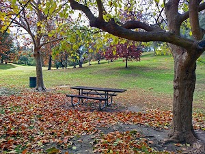 Montview Park - photo 17