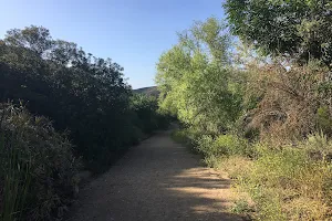 Boulevard Trail (Cowles Mountain) image