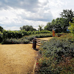 Photo n°6 de l'avis de Adya. fait le 15/08/2021 à 02:20 sur le  Café & Bistro Harzkristall à Derenburg