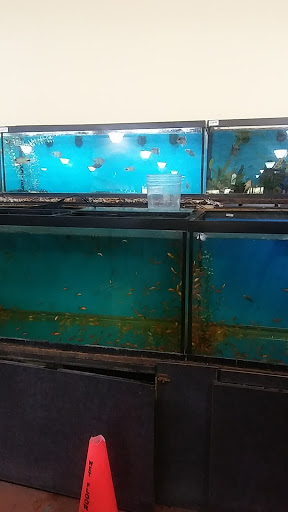 Pet Supply Store «Monster Pets», reviews and photos, 1575 N 52nd St, Philadelphia, PA 19131, USA