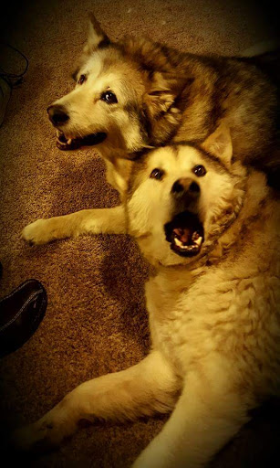 Explore billiards tattoo ideas, creative tattoo ideas in Hood River, available at Hood River Tattoo