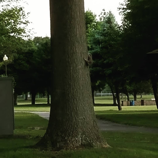 Park «Thomas A. Edison Park», reviews and photos, N Patrol Rd, Edison, NJ 08837, USA