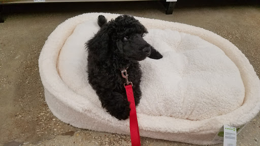 Pet Supply Store «Pet Supplies Plus», reviews and photos, 7041 Barker Cypress Rd, Cypress, TX 77433, USA