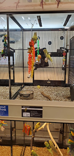 Pet Supply Store «PetSmart», reviews and photos, 100 108th Ave NE, Bellevue, WA 98004, USA