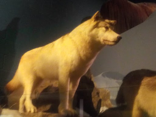 Natural History Museum «Cleveland Museum of Natural History», reviews and photos, 1 Wade Oval Dr, Cleveland, OH 44106, USA