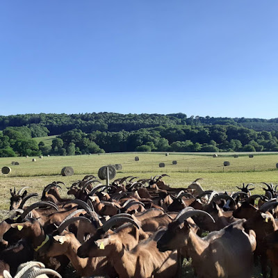 La ferme du Pont de l'Angle à Lanvaudan