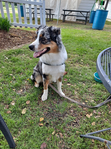 Winery «Rogers Ford Farm Winery», reviews and photos, 14674 Rogers Ford Rd, Sumerduck, VA 22742, USA