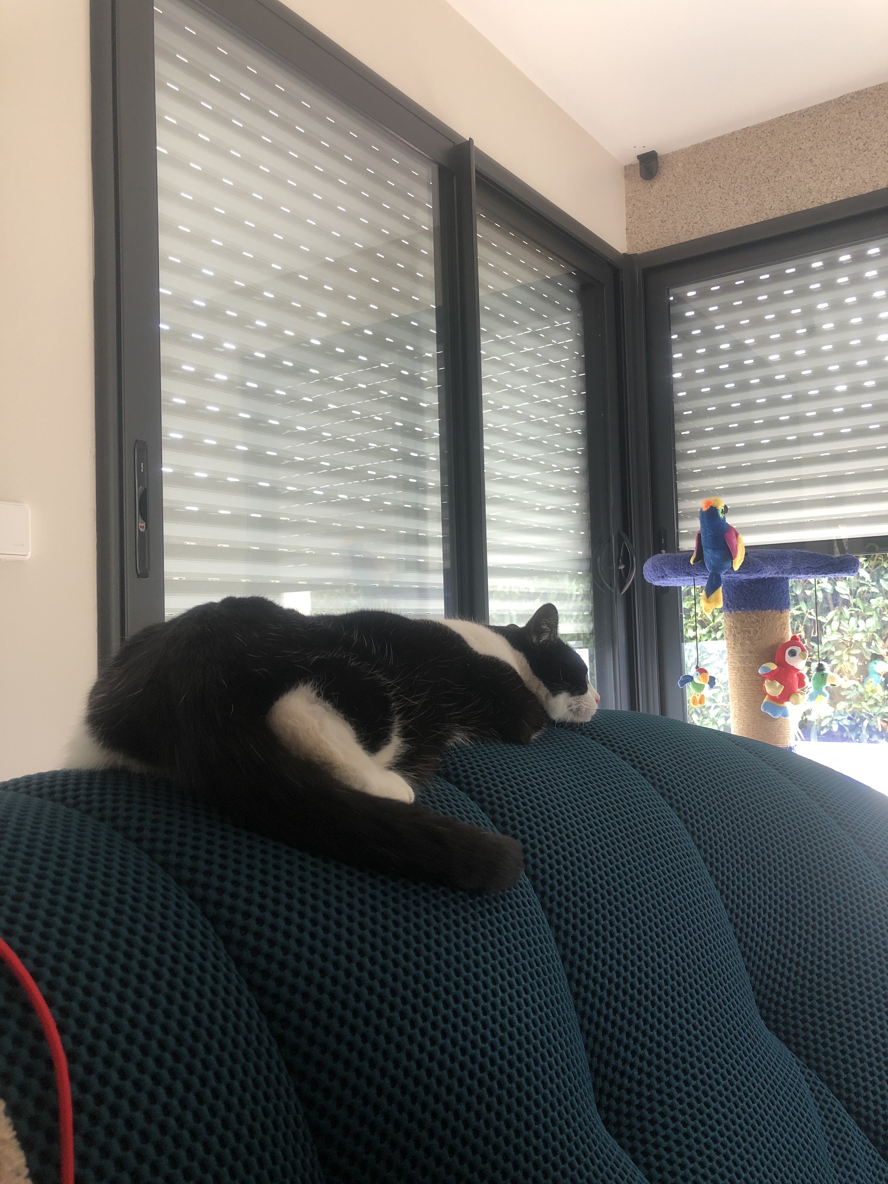 Photo n° 1 de l'avis de OLIVIER. fait le 03/04/2022 à 17:08