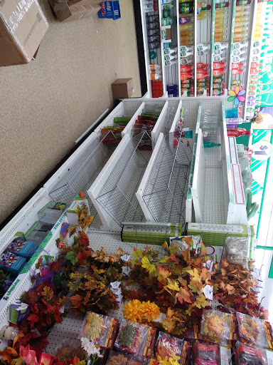 Dollar Store «Dollar Tree», reviews and photos, 4420 Jonesboro Rd, Forest Park, GA 30297, USA