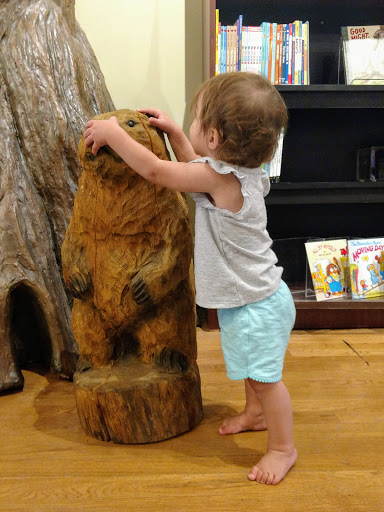 Book Store «Read Between the Lynes», reviews and photos, 111 E Van Buren St, Woodstock, IL 60098, USA