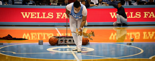 Stadium «Dean E. Smith Center», reviews and photos, 300 Skipper Bowles Dr, Chapel Hill, NC 27514, USA