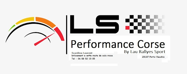ls performance corse