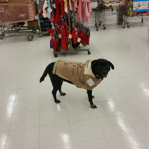 Pet Supply Store «Petco Animal Supplies», reviews and photos, 6596 Youree Dr, Shreveport, LA 71105, USA