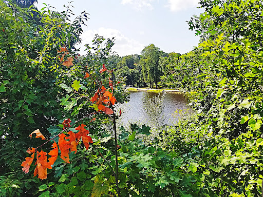 Park «Cass Park», reviews and photos, Cass Avenue, Woonsocket, RI 02895, USA