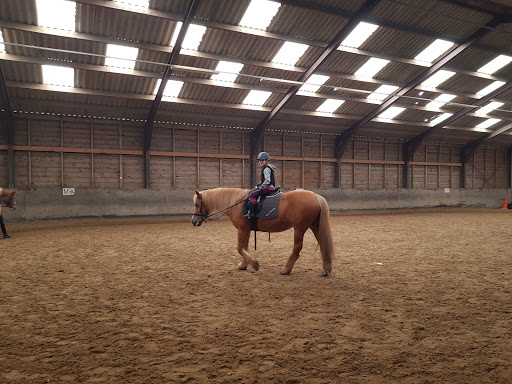 The Equestrian Center Voorweg