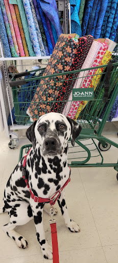 Fabric Store «Jo-Ann Fabrics and Crafts», reviews and photos, 10261 River Marsh Dr #149, Jacksonville, FL 32246, USA