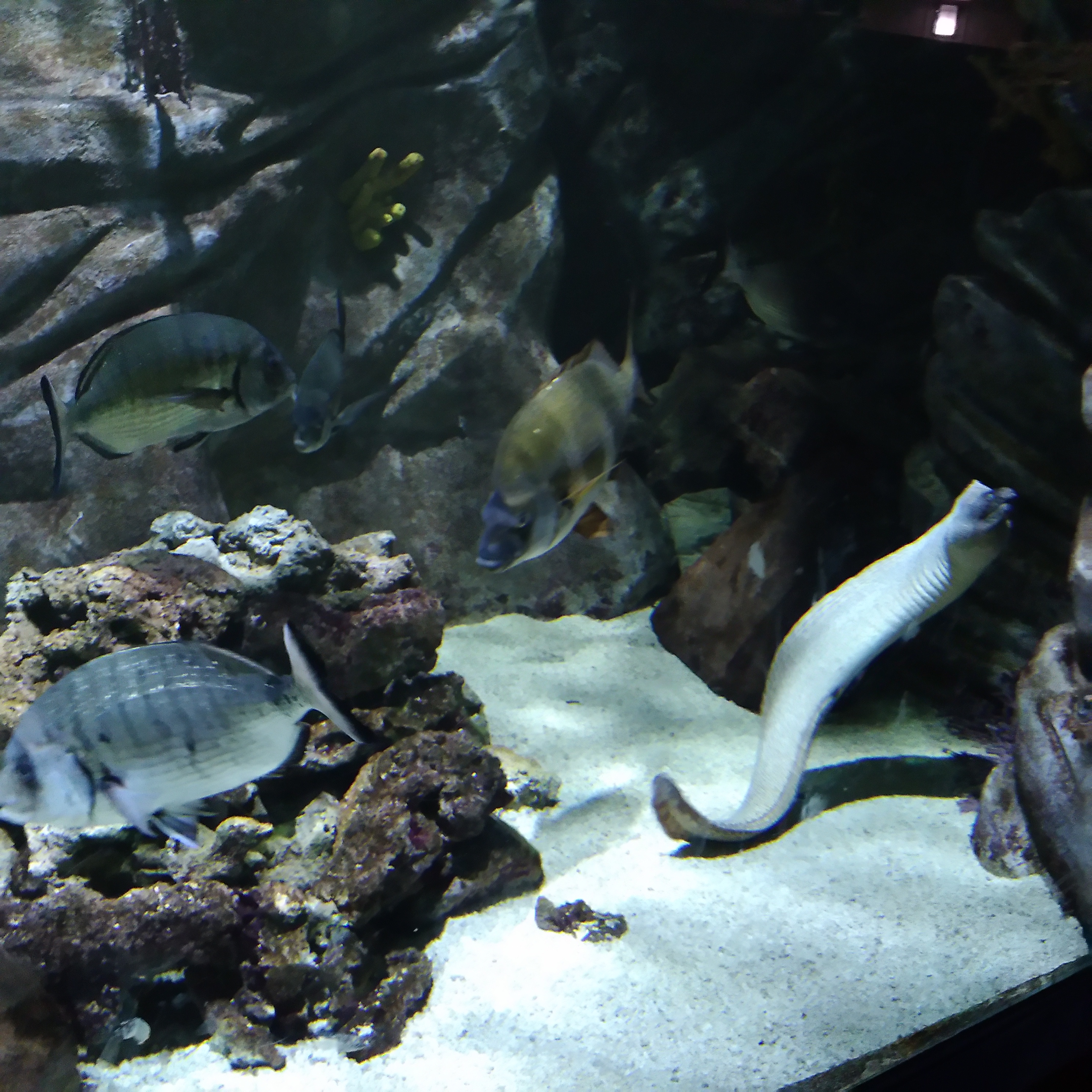 Photo n° 7 de l'avis de Carda.o fait le 10/12/2023 à 10:19