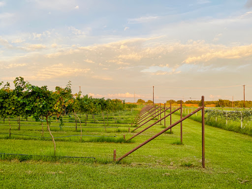 Bar «Fortunata Winery», reviews and photos, 2297 FM2931, Aubrey, TX 76227, USA
