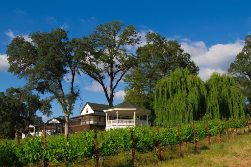 Winery «Cielo Estate Winery», reviews and photos, 3040 Ponderosa Rd, Shingle Springs, CA 95682, USA