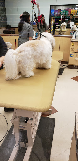 Pet Supply Store «PetSmart», reviews and photos, 5 Main St, East Hartford, CT 06118, USA