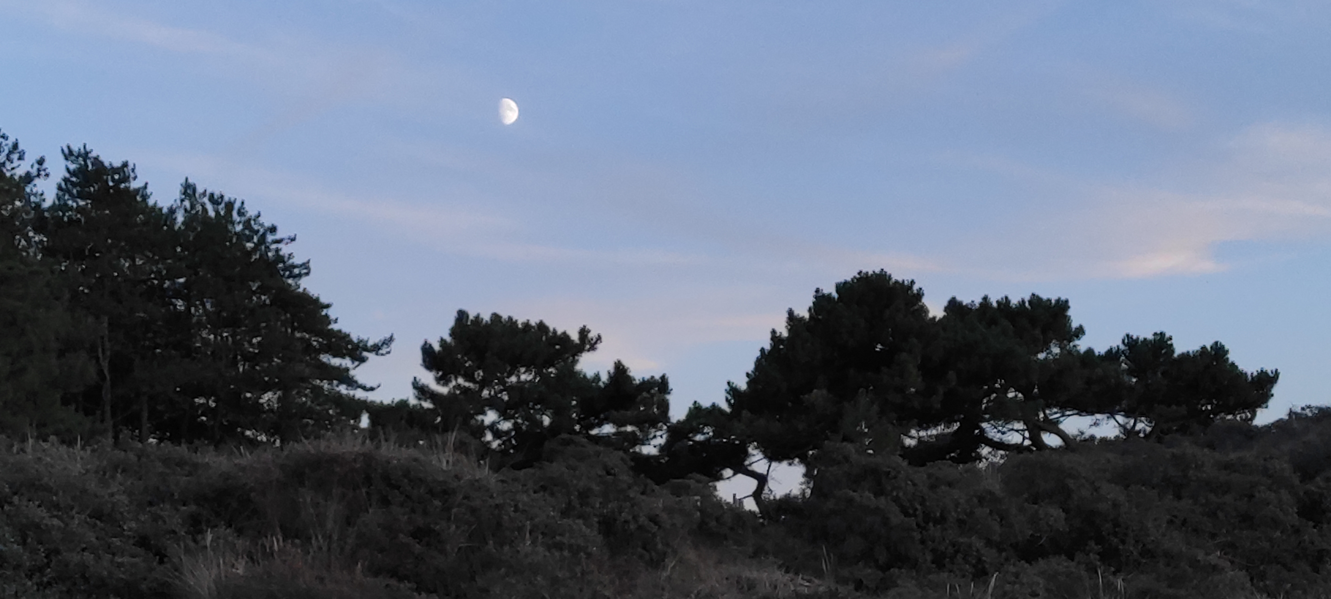 Photo n° 16 de l'avis de barbara.i fait le 17/08/2022 à 17:52