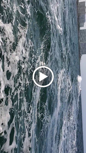 Tour Operator «Fun Center Fort Lauderdale , Tours, Rentals. Segway, Scooter, Jet Ski, Boat, ....», reviews and photos, 1040 Bayview Dr, Fort Lauderdale, FL 33304, USA