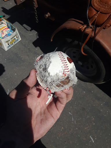 Storage Facility «Extra Space Storage», reviews and photos, 3937 Santa Rosa Ave, Santa Rosa, CA 95407, USA