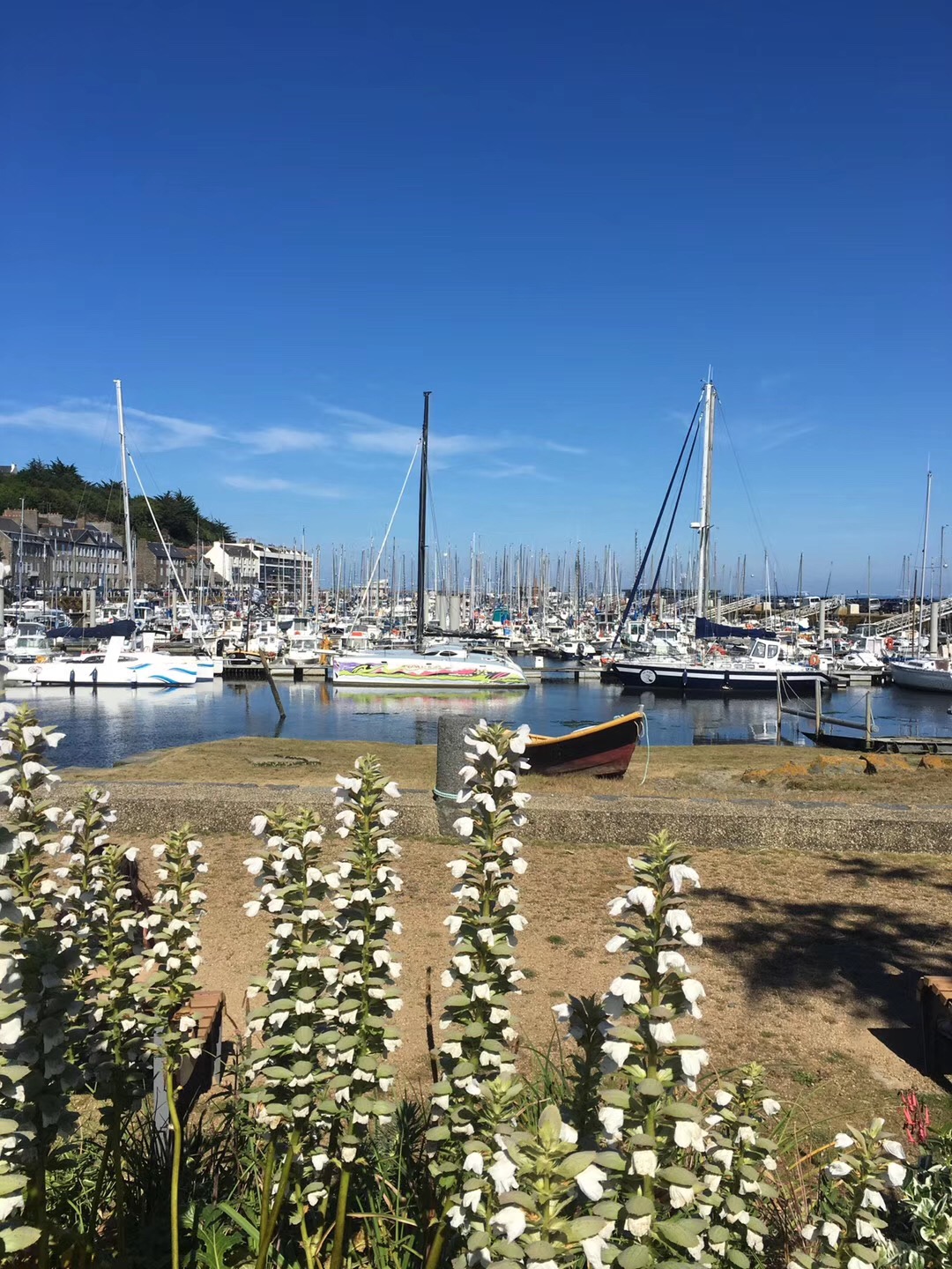 Photo n° 1 de l'avis de Lorraine. fait le 06/09/2019 à 09:25