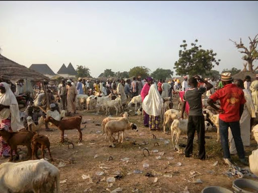 Laraba Market, Dutse-Kude-Kogin Huguma Rd, Dutse, Nigeria, Seafood Restaurant, state Kano