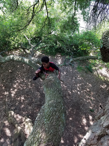 Park «Holmes Park», reviews and photos, Twin Lake Rd, Greenville, SC 29609, USA