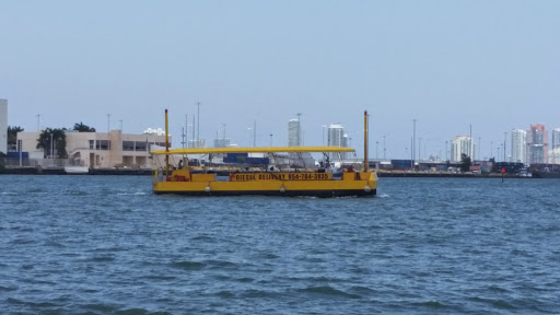 Performing Arts Theater «Bayfront Park Amphitheatre», reviews and photos, 301 Biscayne Blvd, Miami, FL 33132, USA