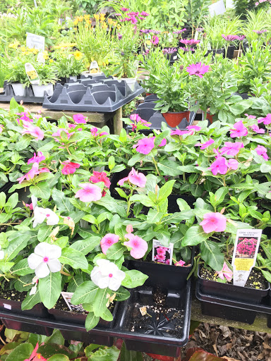 Florist «TG Designs», reviews and photos, 19231 Longmeadow Rd, Hagerstown, MD 21742, USA