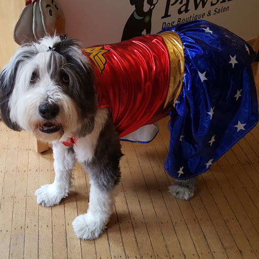 Pet Store «Pawsh Dog Boutique», reviews and photos, 31 Gloucester St, Boston, MA 02115, USA