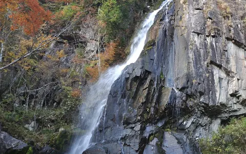 Okura Falls Nature Trail Park image