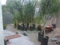 Dirt 2 Dreams Landscaping - Photo 7 - Car repair in , Las Vegas