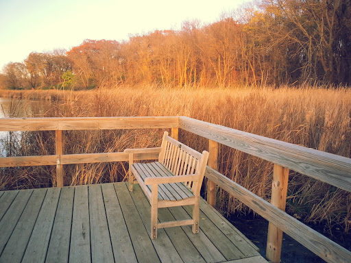Nature Preserve «Westwood Hills Nature Center», reviews and photos, 8300 W Franklin Ave, St Louis Park, MN 55426, USA