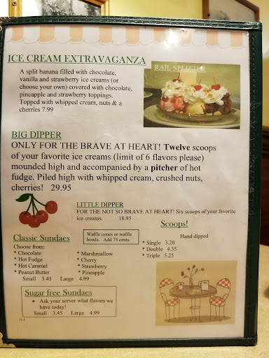 Ice Cream Shop «Yum Yum Tree», reviews and photos, 140 W Main St, Brighton, MI 48116, USA