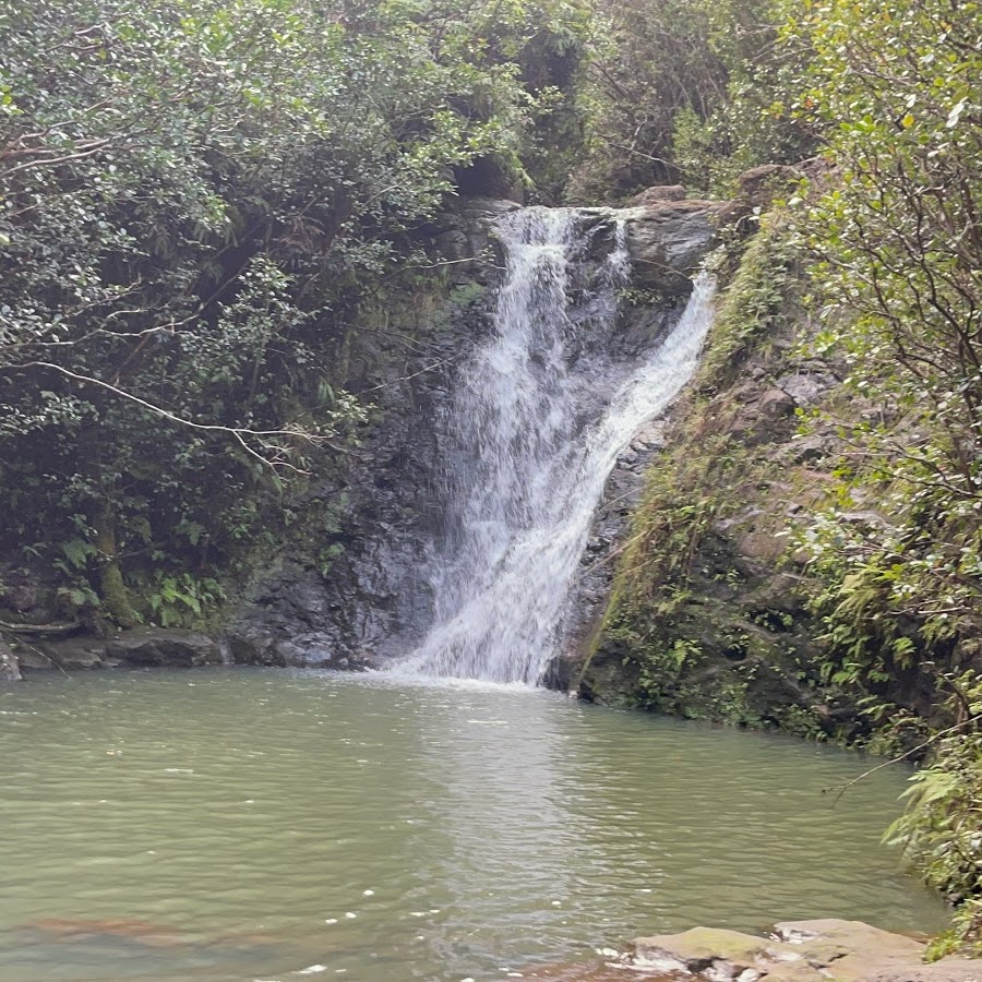 Lāʻie Falls Trail