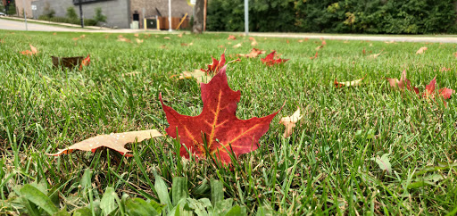 Recreation Center «Meri Lou Murray Recreation Center», reviews and photos, 2960 Washtenaw Ave, Ann Arbor, MI 48104, USA