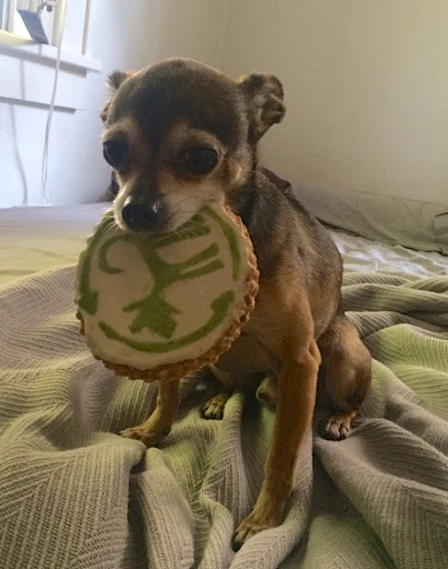 Pet Supply Store «Green Dog Pet Supply», reviews and photos, 4327 NE Fremont St, Portland, OR 97213, USA