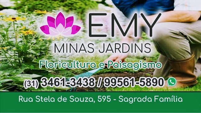 Avaliações sobre Floricultura Emy em Belo Horizonte - Floricultura