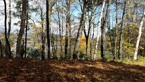 Brattleboro Common - photo 29