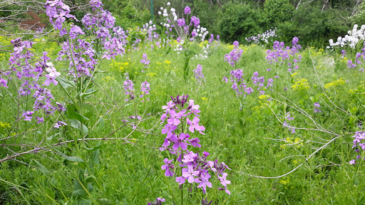 Park «Bare Cove Park», reviews and photos, Bare Cove Park Dr & Fort Hill St, Hingham, MA 02043, USA