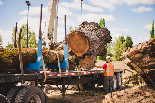 Mountain View Tree Service