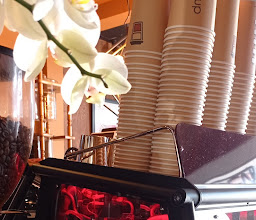 Plaza Peninsula photo